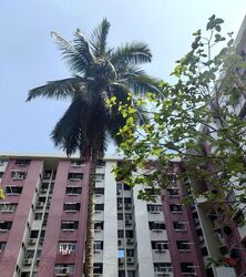 Blk 610 Ang Mo Kio Avenue 4 (Ang Mo Kio), HDB 4 Rooms #621323421